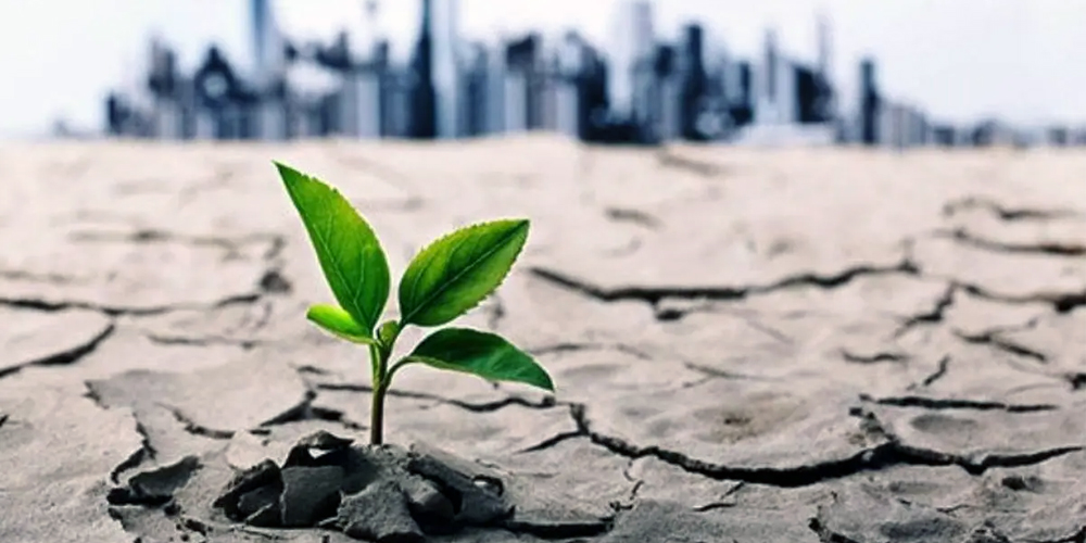 بحران کم‌ آبی شدیدتر شد؛ فقط ۳۲ درصد ظرفیت سدهای کشور پر است/ تهران، اصفهان و ۸ استان دیگر در وضعیت قرمز آبی/ زنگ خطر جدی برای تابستان ۱۴۰۵